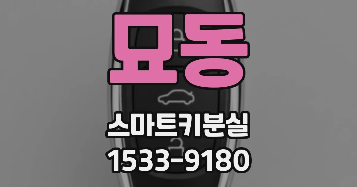 묘동 스마트키분실