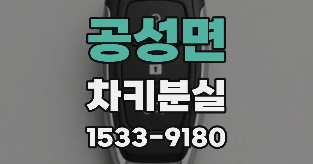 공성면 차키분실