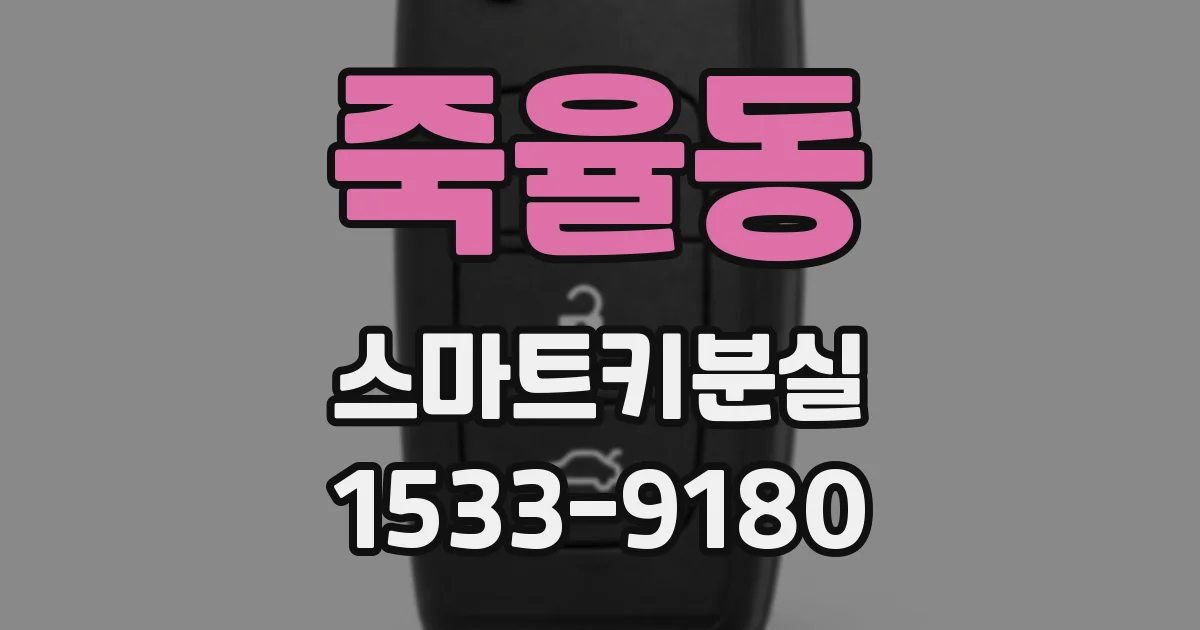 죽율동 스마트키분실