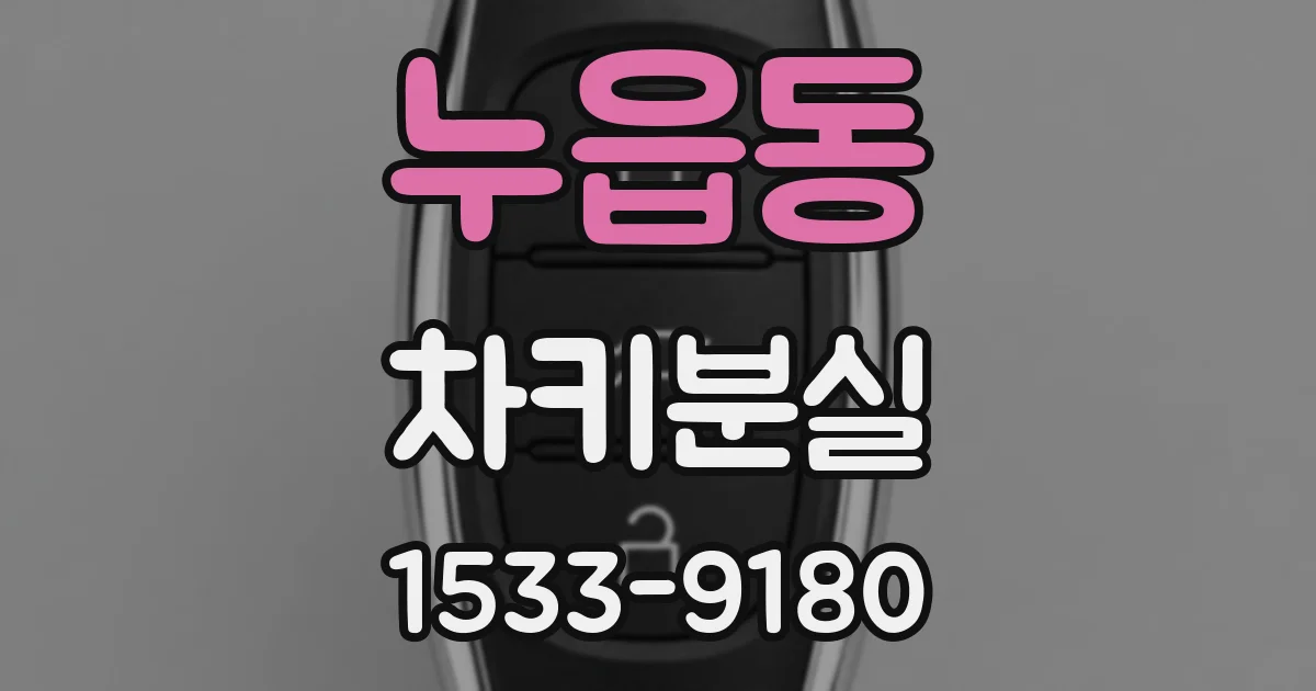 누읍동 차키분실
