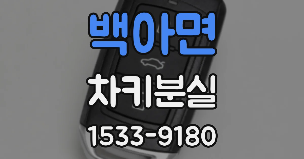백아면 차키분실