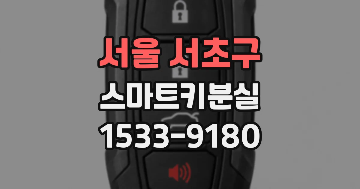 서울 서초구 스마트키분실