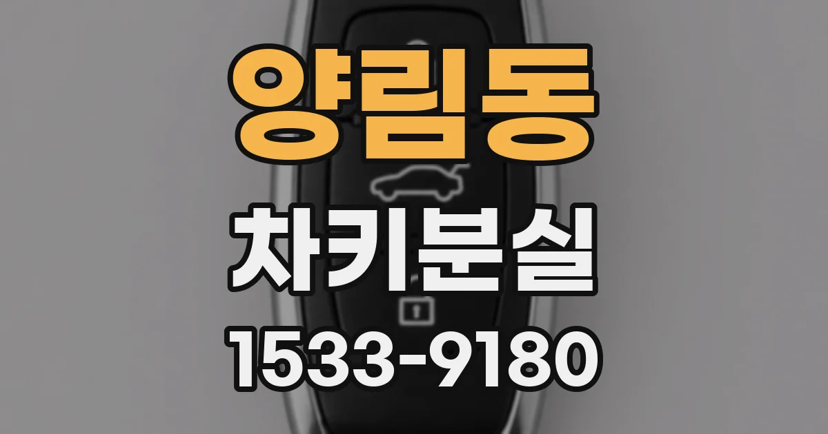양림동 차키분실
