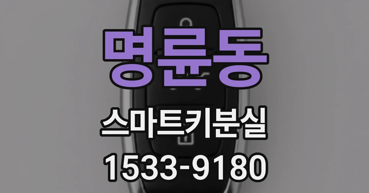 명륜동 스마트키분실