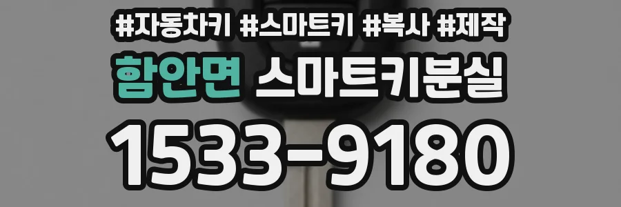 함안면 스마트키분실