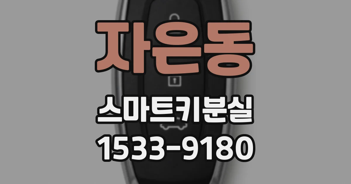 자은동 스마트키분실