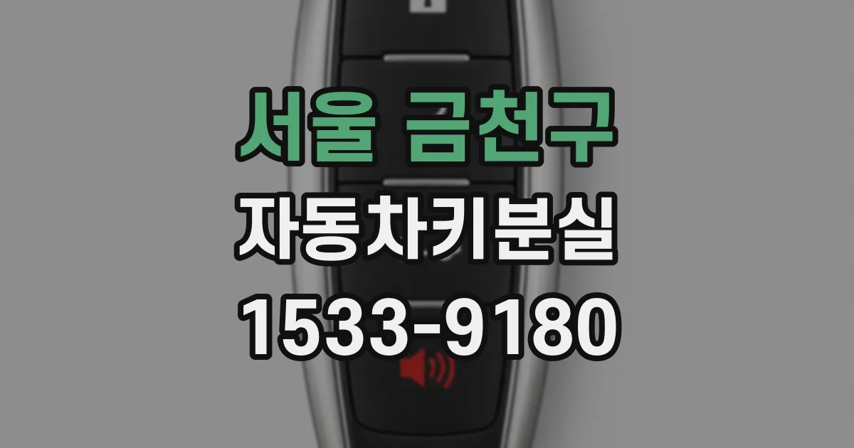 서울 금천구 자동차키분실