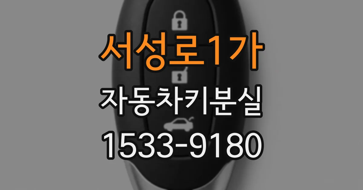서성로1가 자동차키분실