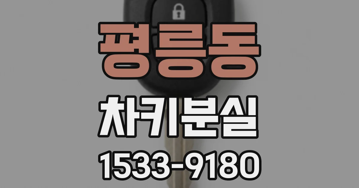 평릉동 차키분실