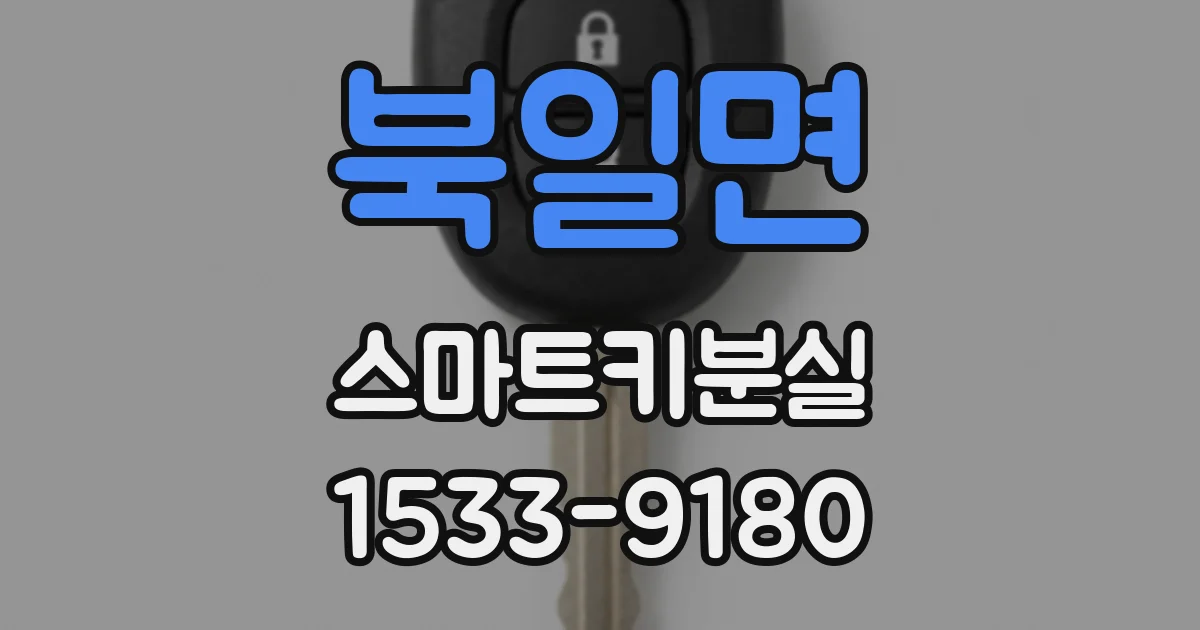 북일면 스마트키분실