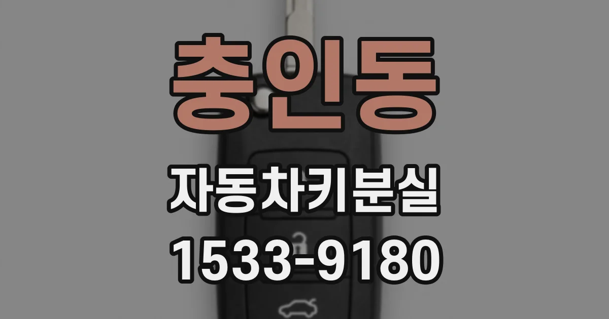 충인동 자동차키분실