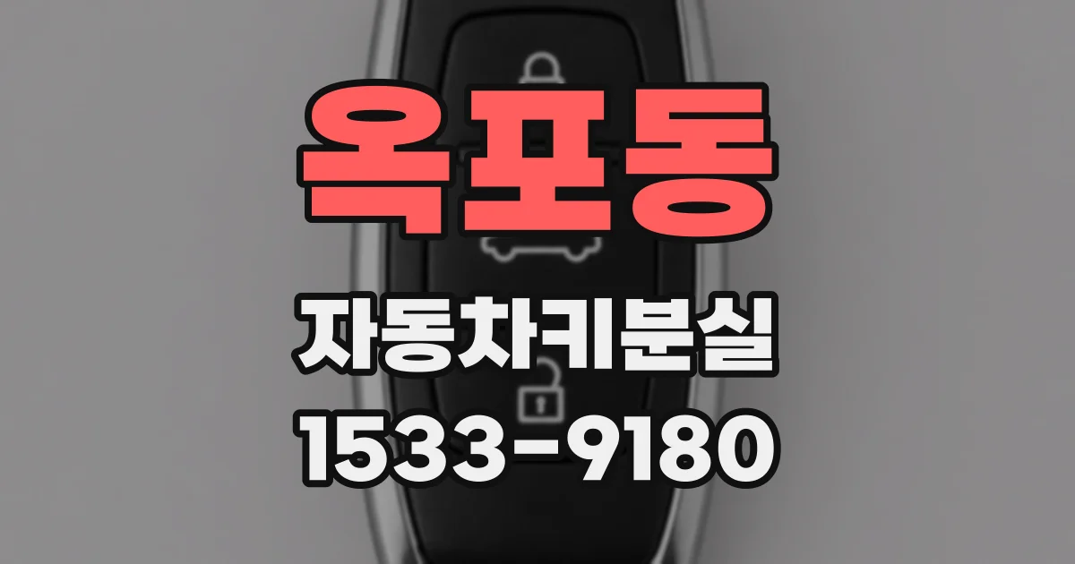 옥포동 자동차키분실