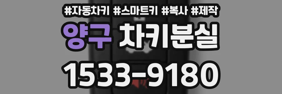 양구 차키분실