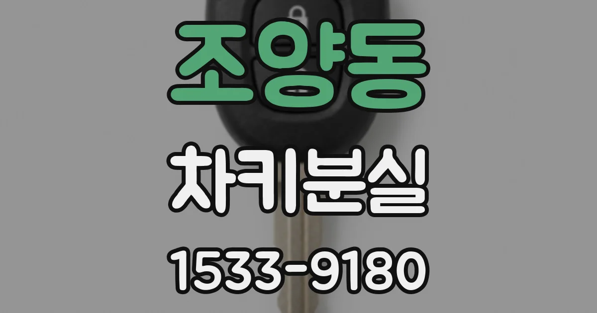 조양동 차키분실