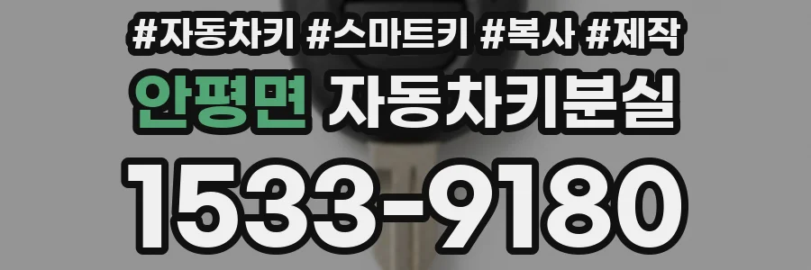 안평면 자동차키분실