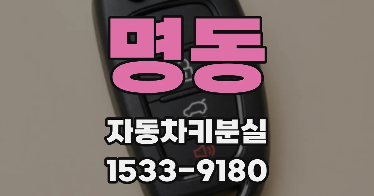 명동 자동차키분실