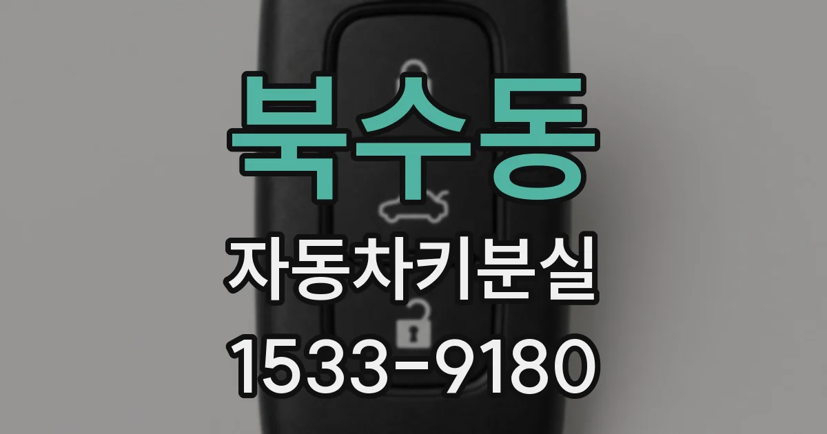 북수동 자동차키분실