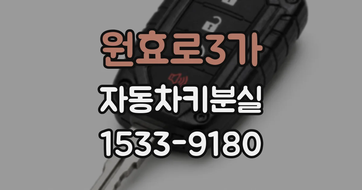 원효로3가 자동차키분실