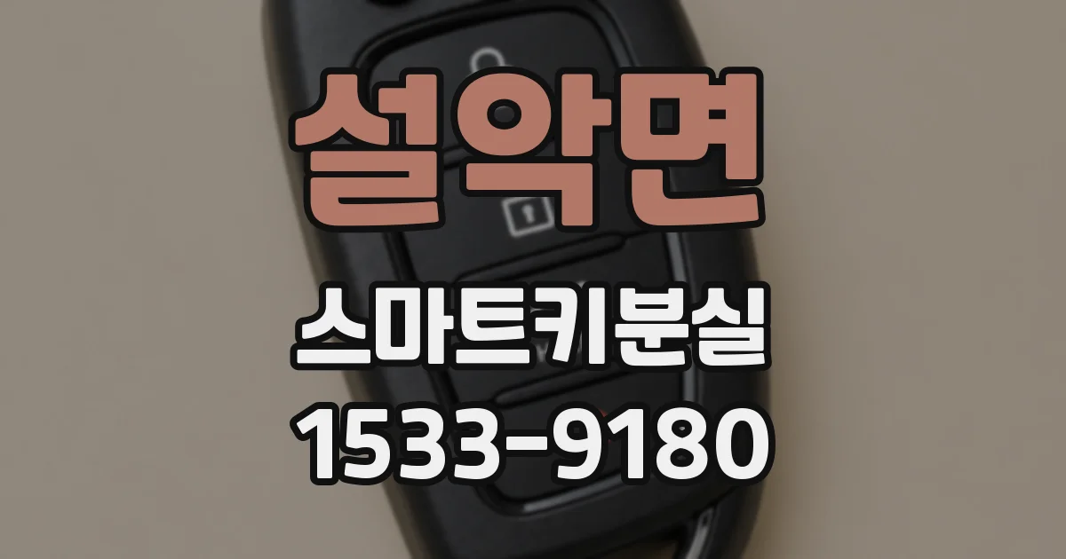 설악면 스마트키분실