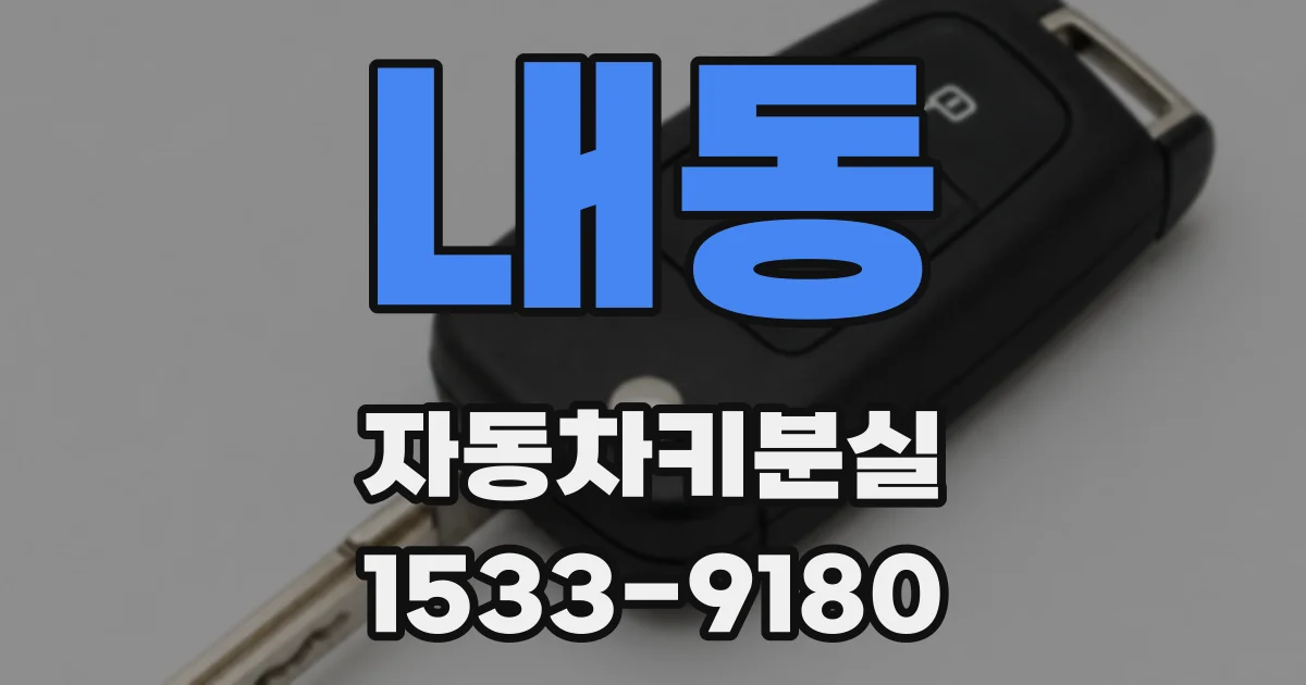 내동 자동차키분실