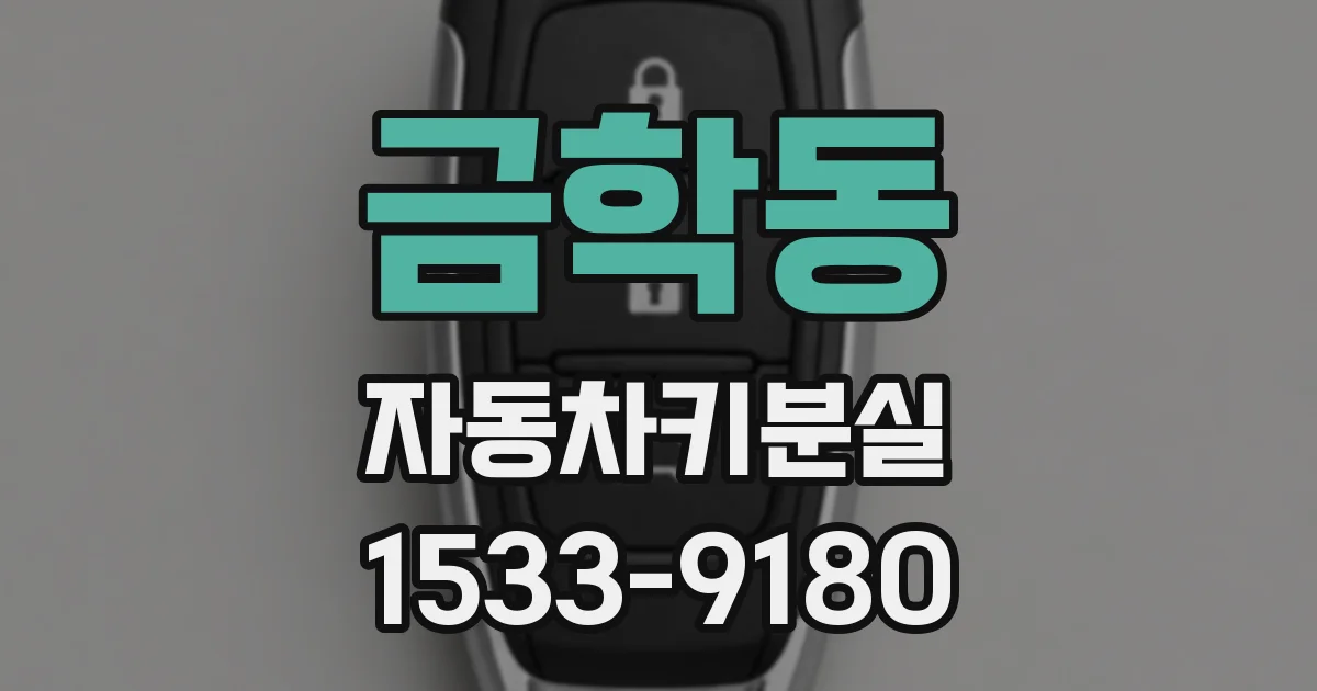 금학동 자동차키분실