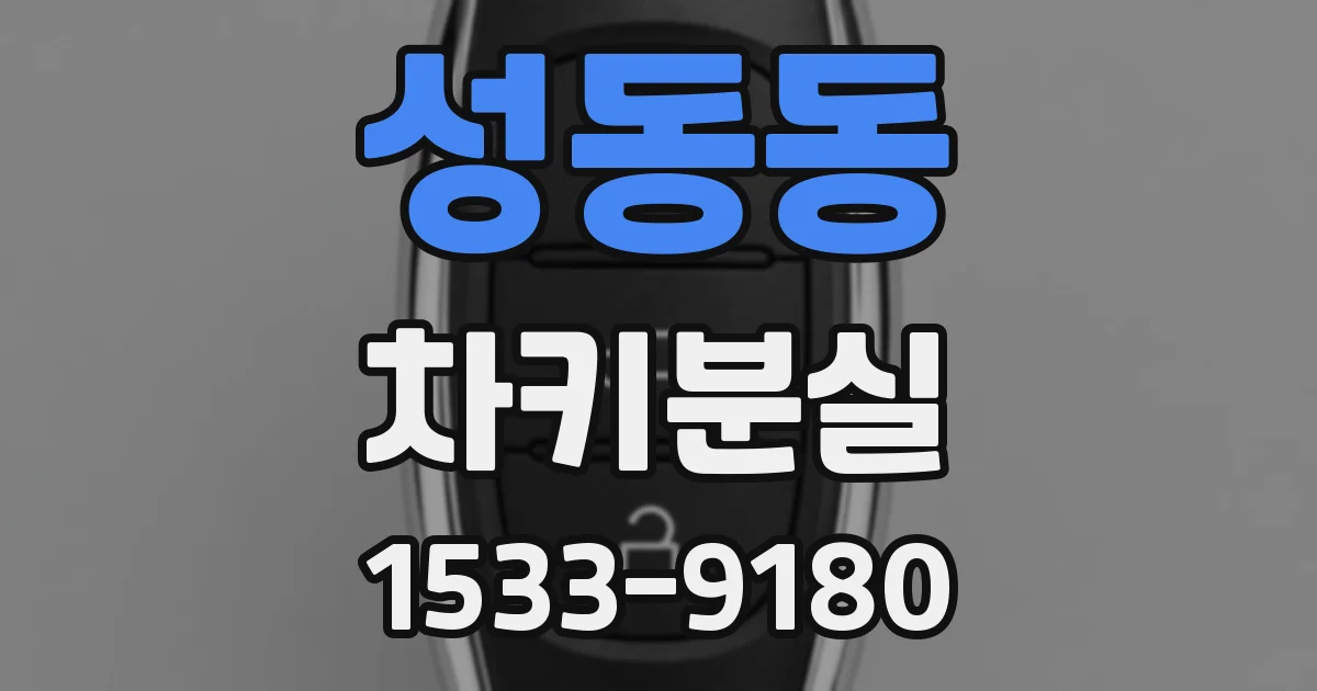 성동동 차키분실