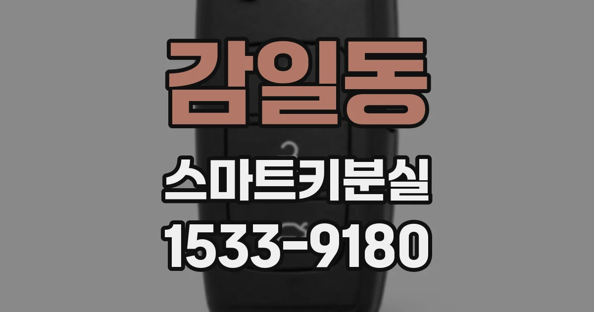 감일동 스마트키분실