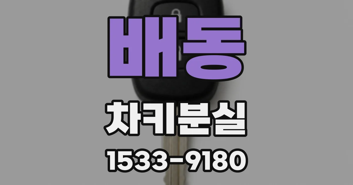 배동 차키분실