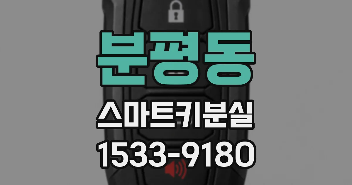 분평동 스마트키분실