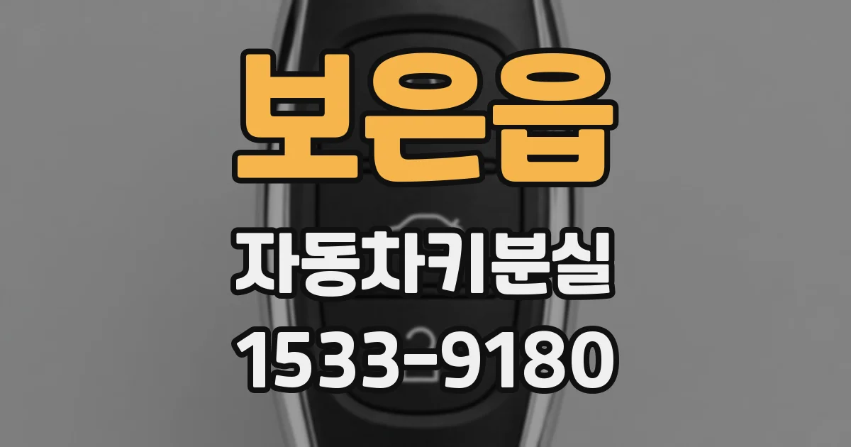 보은읍 자동차키분실