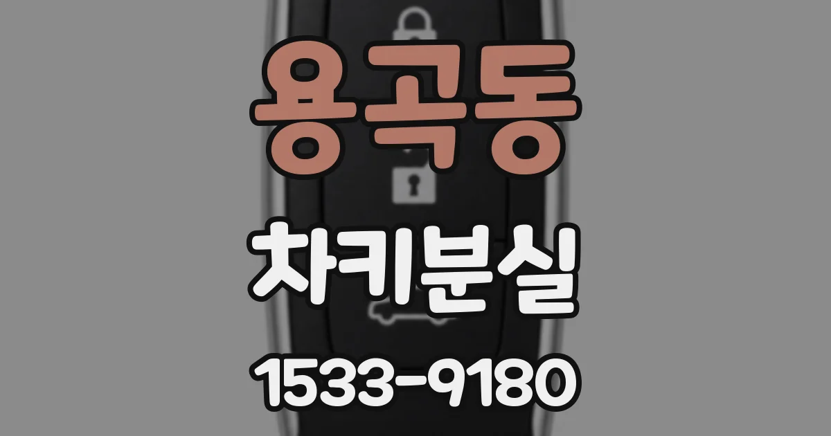 용곡동 차키분실