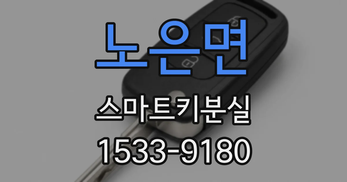 노은면 스마트키분실