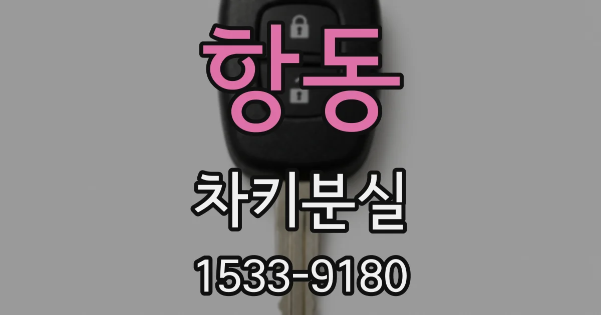 항동 차키분실