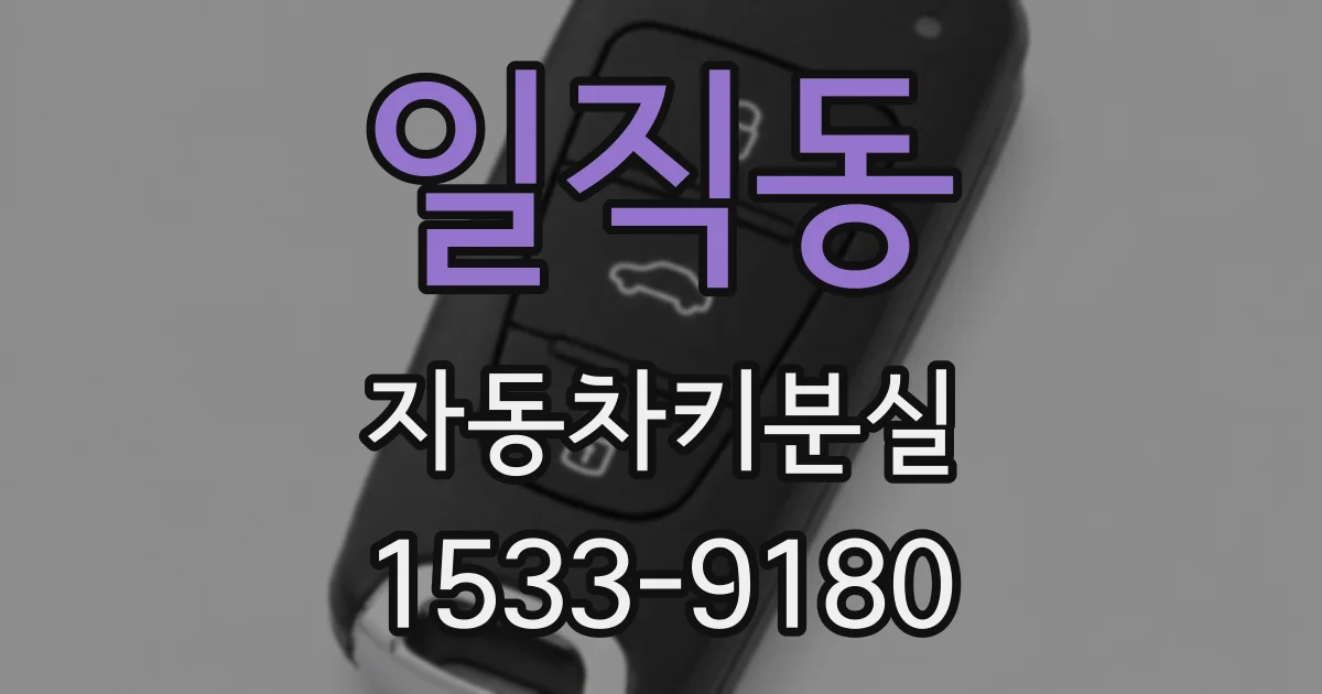 일직동 자동차키분실