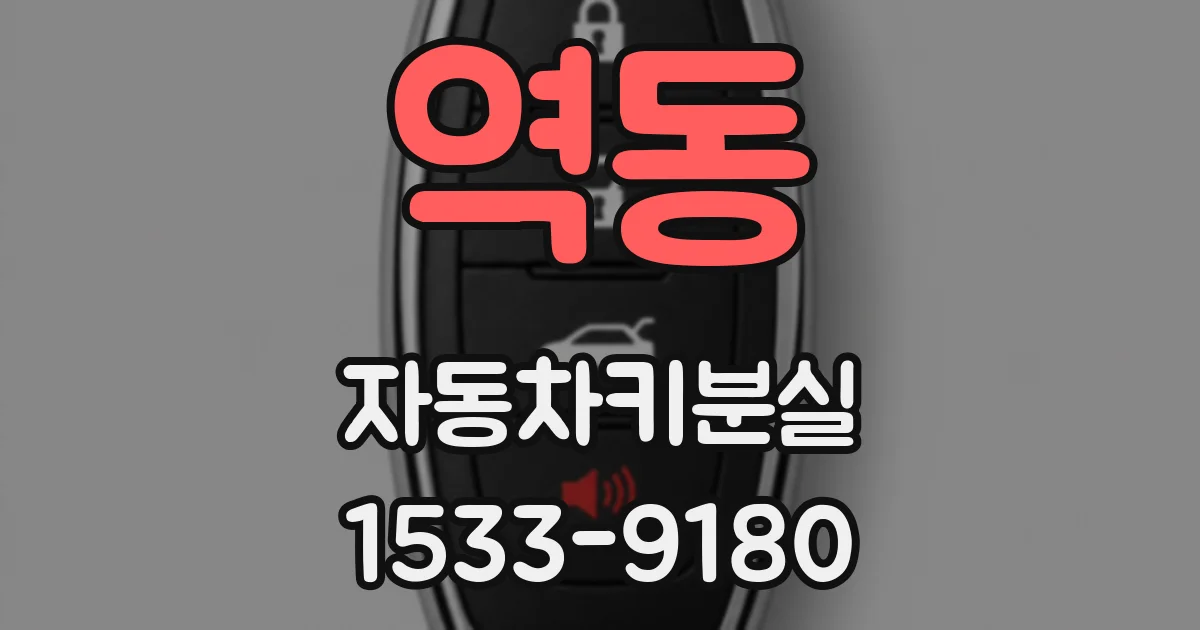 역동 자동차키분실