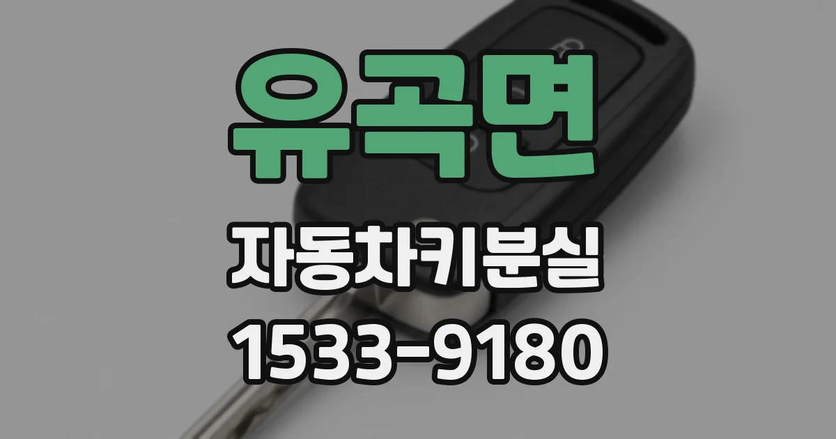유곡면 자동차키분실