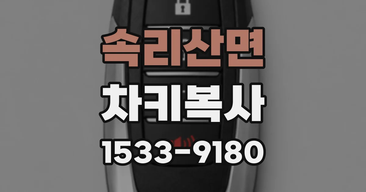 속리산면 차키복사