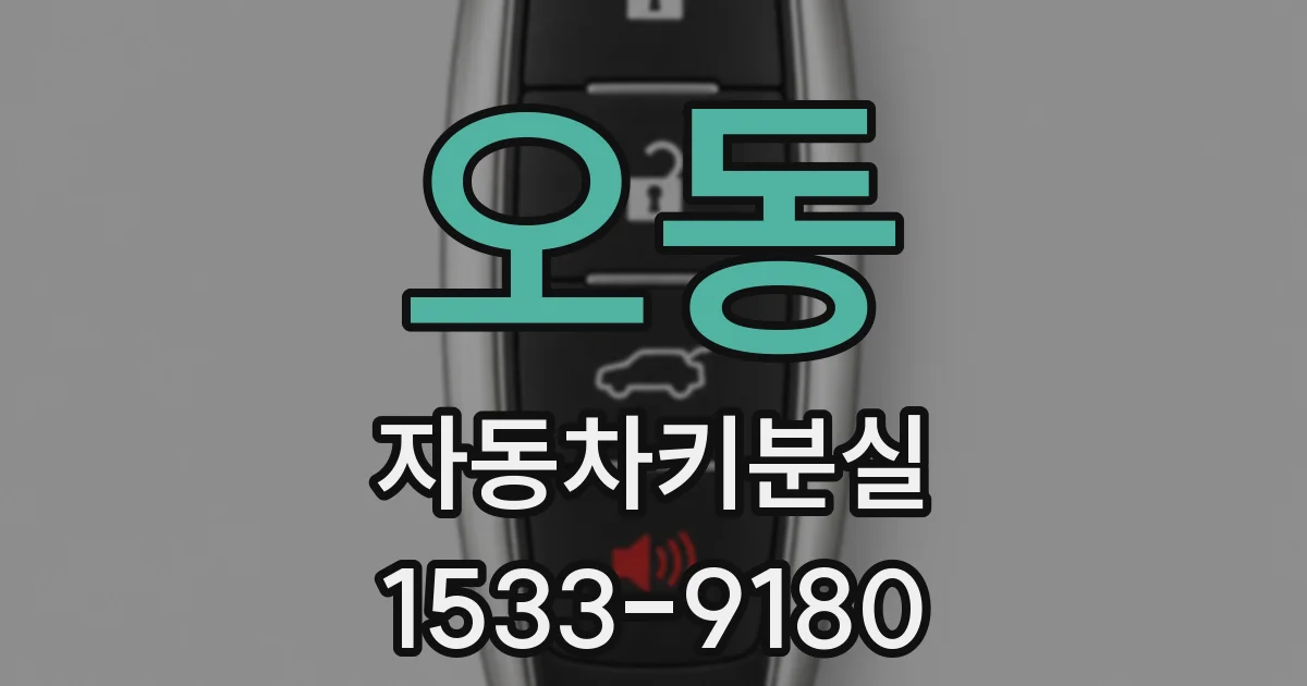 오동 자동차키분실