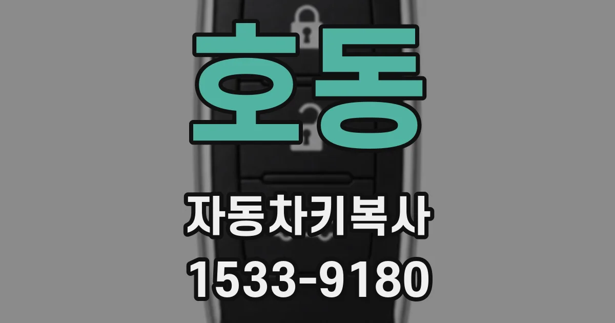 호동 자동차키복사