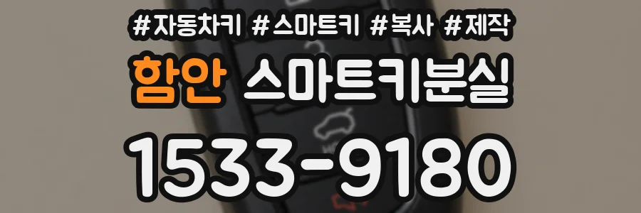 함안 스마트키분실