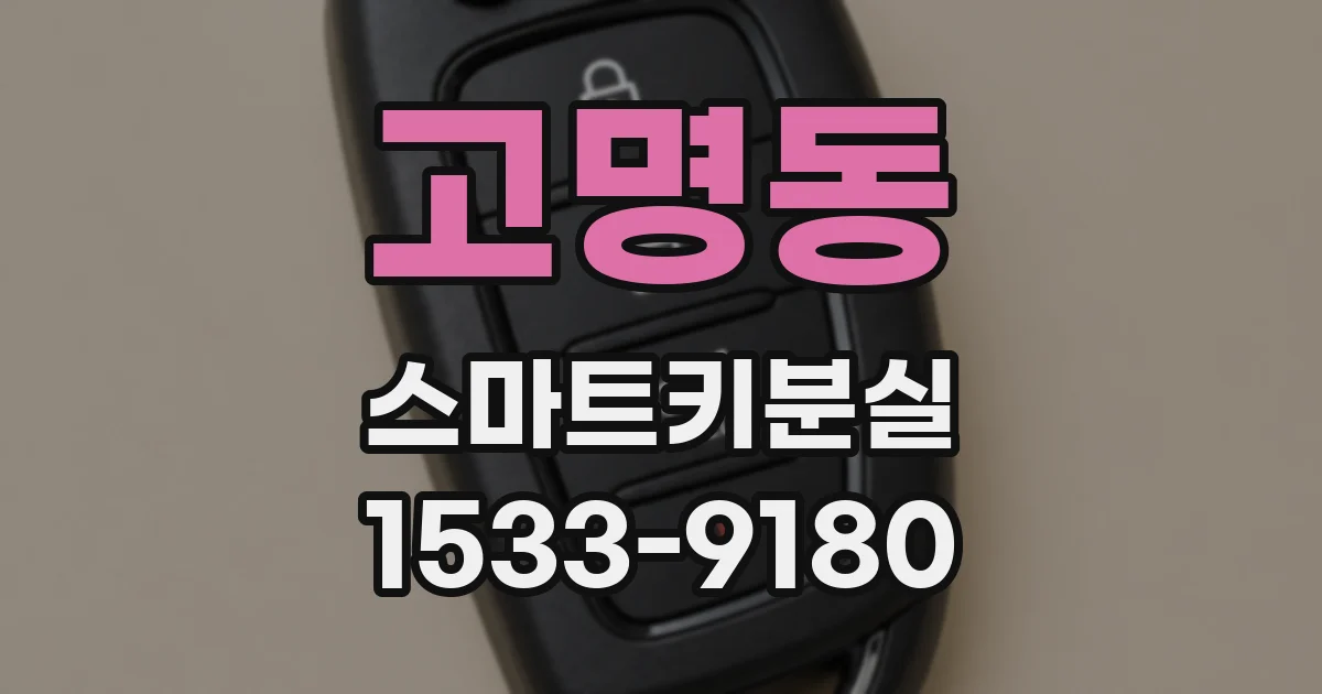 고명동 스마트키분실