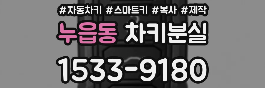 누읍동 차키분실