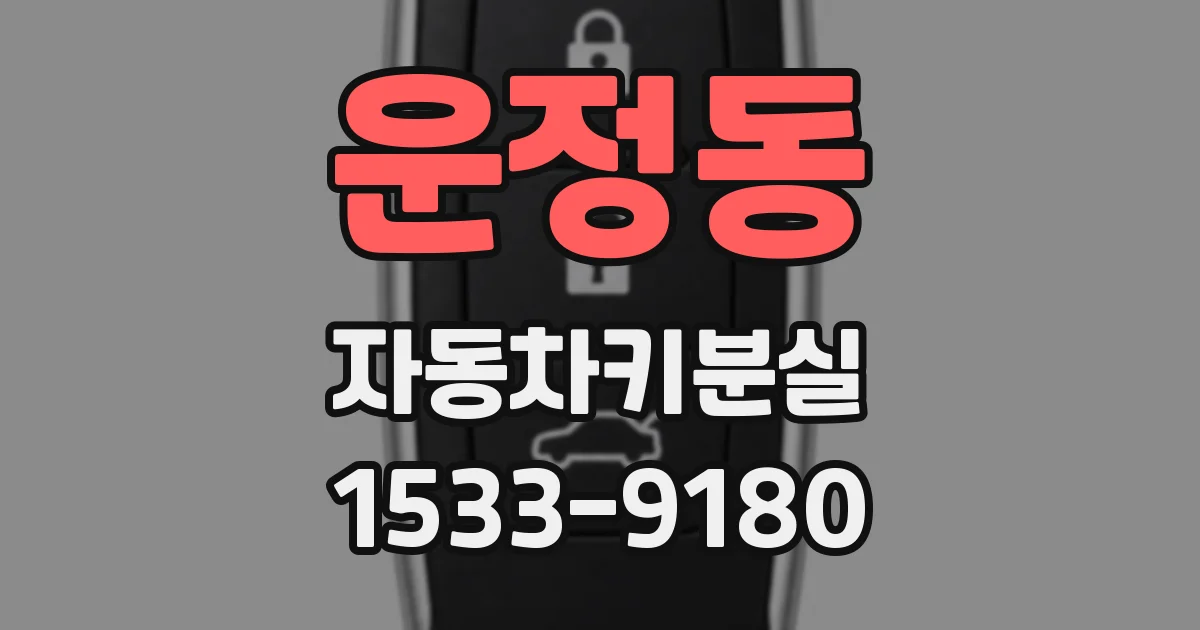 운정동 자동차키분실