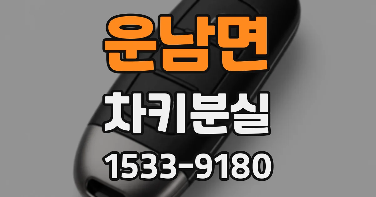 운남면 차키분실