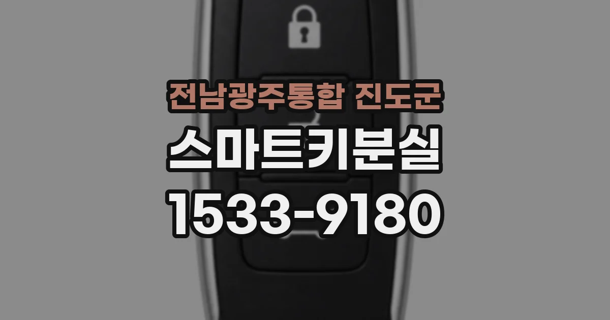 전남광주통합 진도군 스마트키분실