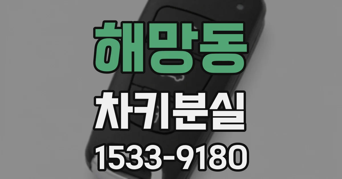 해망동 차키분실