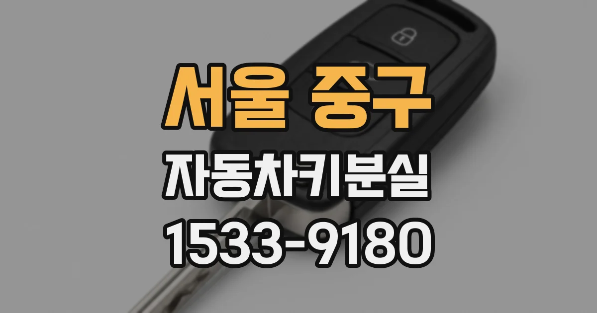서울 중구 자동차키분실