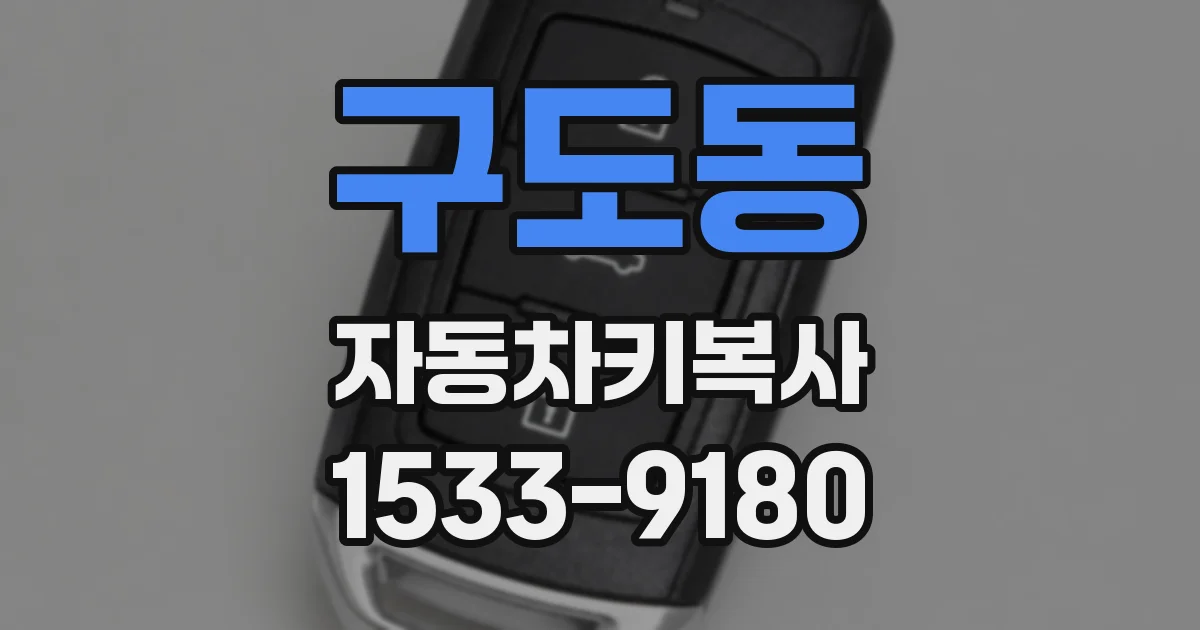 구도동 자동차키복사