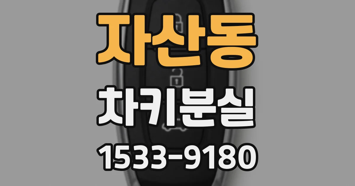 자산동 차키분실