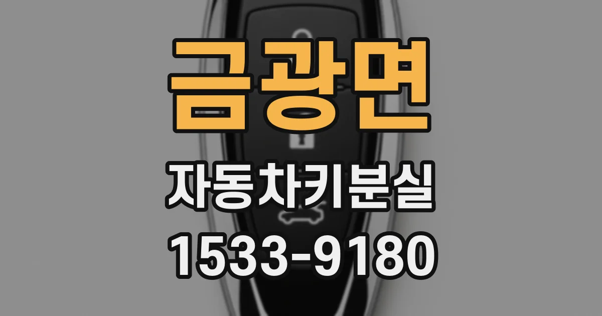 금광면 자동차키분실